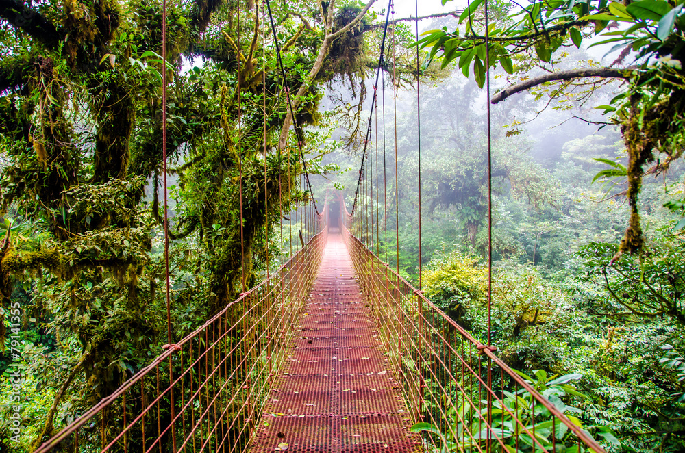 Into the Mist: Hiking Through the Cloud Forests of Costa Rica